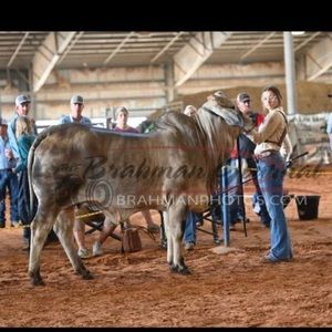 Meet your Posher, Addyson